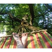 Lisa Hör's photo