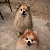 N K's photo