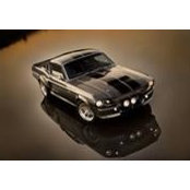 Ted Davis's photo