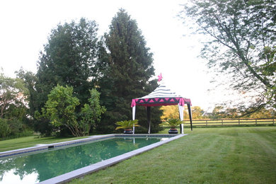 Fly Folly® tents popping up in MIllbrook