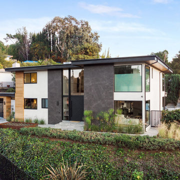 Dona Lola Contemporary Mid Century