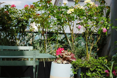 Idées déco pour une terrasse classique avec aucune couverture.