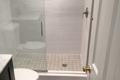 Basement Bathroom Renovation with a Spa feel