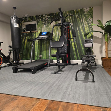 Full Basement renovation with exercise room, wine cellar, TV room and Sauna
