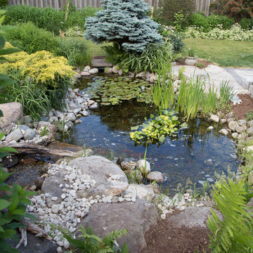 Malcom Backyard & Patio Redesign
