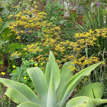 Deer Resistant Gardens