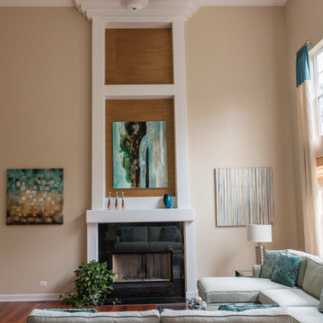 Palatine Contemporary Fireplace