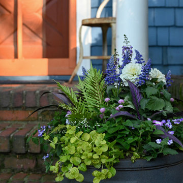 Summer Containers