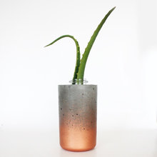 Deco