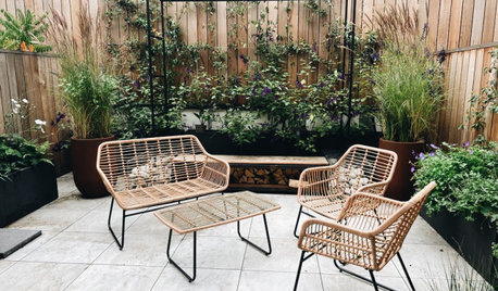 Patio of the Week: Container Gardens Transform a Small Urban Yard