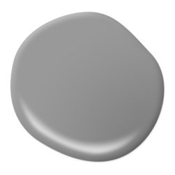 Dolphin Gray HDC-NT-10A - Paint