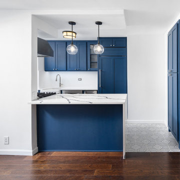 Upper East Side Kitchen Renovation