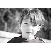 Stephanie Hansen's photo