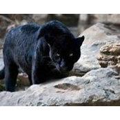 Larissa Spitsyna's photo