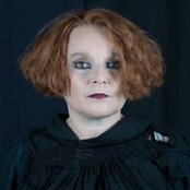 Deborah Sfez's photo
