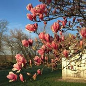 Lynne Osterman's photo