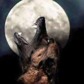 Timothy Newtols's photo
