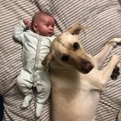 David Viljaste's photo