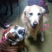 Hideko Arai's photo