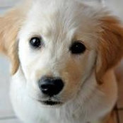 Kristyn Grace Soldan's photo