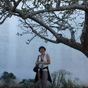 Pang de Lira's photo