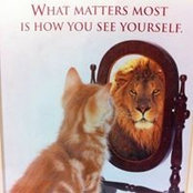 Ashwini Kadayinti's photo