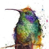Kara Rogers Erickson's photo