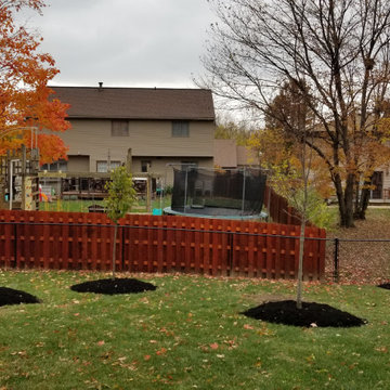 Backyard Privacy