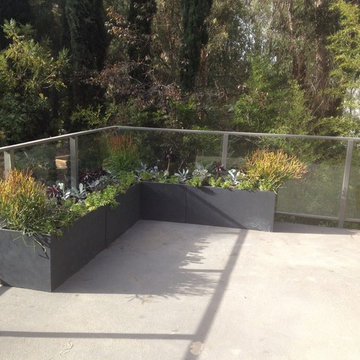 Encino Hills Makeover
