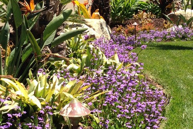 This is an example of a large contemporary landscaping in San Diego.