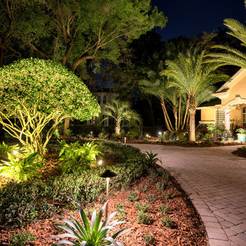Fishhawk Trails - Vines Project (Campus Signature Package)