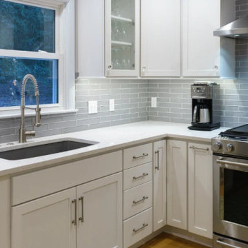 Downtown Rockford Kitchen Remodel