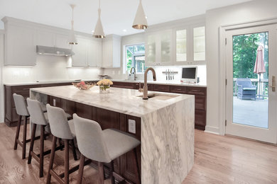 Example of a trendy kitchen design in DC Metro
