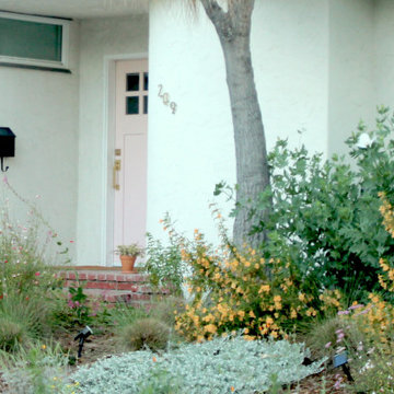 Royal California Native Frontyard Plant Bundle
