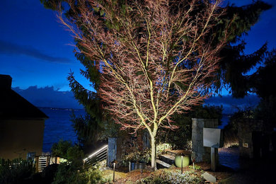 Photo of a contemporary landscaping in Seattle.
