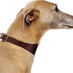 Ferplast Brown Leather Whippet/Greyhound Collar - Dog Toys