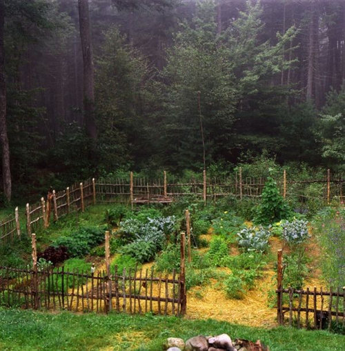 Garden Orchard Surrounded By Trees