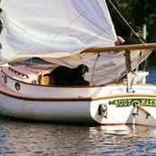 Steve Kenney's photo