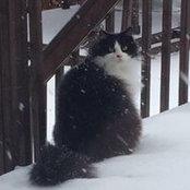 Victoria Gort's photo