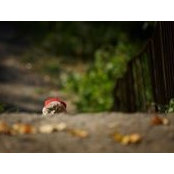 Lindsey Stene's photo