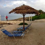 Jan Young's photo