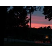Sandy Goldthrite's photo