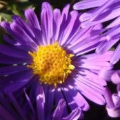 Sherrie-Goodale Gergen's photo