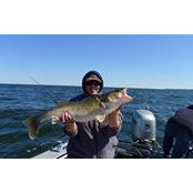 Tracy Kleist's photo