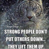 Ali Amiri's photo