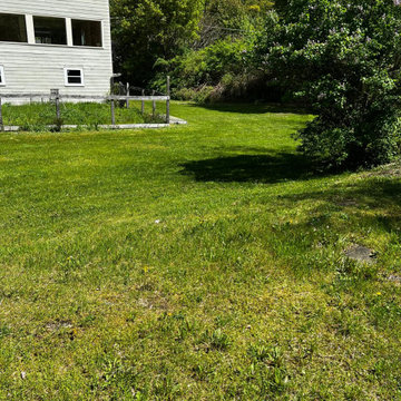 Professional Lawn Care & Mulch Installation