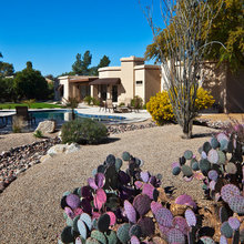 Landscape ideas