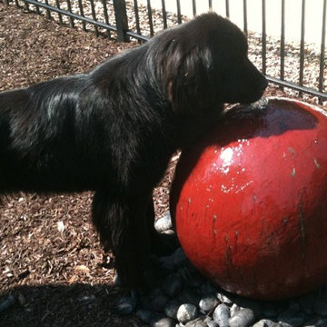 Fountainscapes / Dog Drinking from Backyard Water Fountain in Atlanta