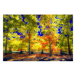 Douglas Page Photographic Arts - Autumn Explosion, Canvas Giclee, 12" X 8" - Prints And Posters