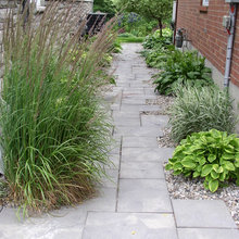 Side yard